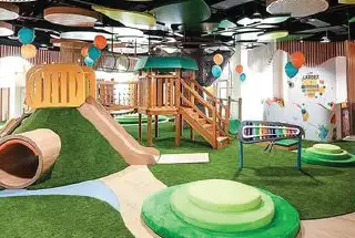 playarea